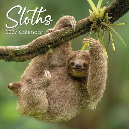Sloths 2027 Premium Square Wall Calendar cover