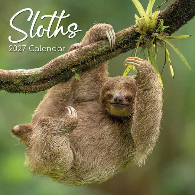 Sloths 2027 Premium Square Wall Calendar cover