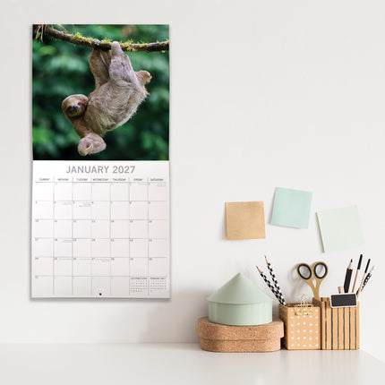 Sloths 2027 Premium Square Wall Calendar lifestyle image