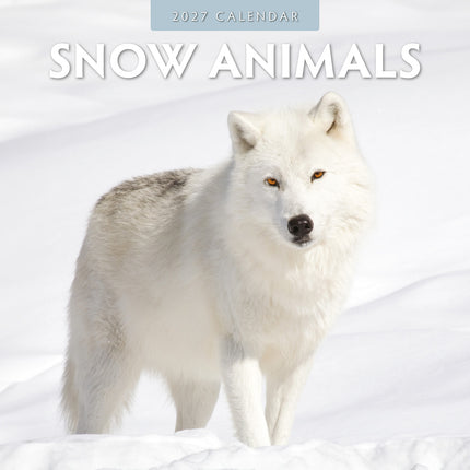 Snow Animals 2027 square wall calendar - front cover