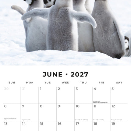 Snow Animals 2027 square wall calendar - monthly calendar spread