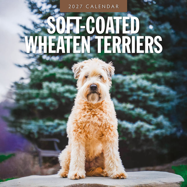 Soft-coated Wheaten Terriers 2027 square wall calendar - front cover