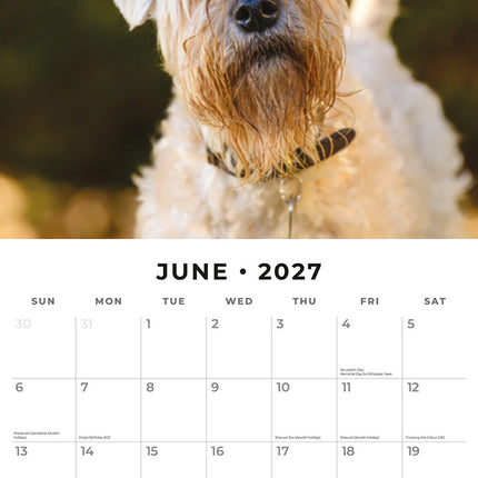 Soft-coated Wheaten Terriers 2027 square wall calendar - monthly calendar spread