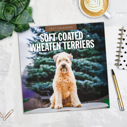 Soft-coated Wheaten Terriers 2027 square wall calendar - image detail