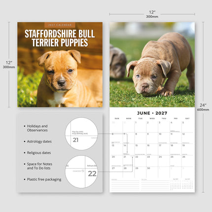 Staffordshire Bull Terrier Puppies 2027 square wall calendar - product specifications