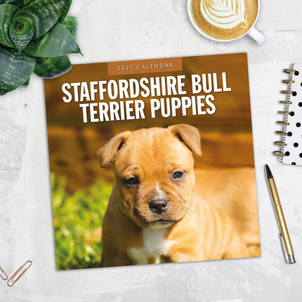 Staffordshire Bull Terrier Puppies 2027 square wall calendar - image detail