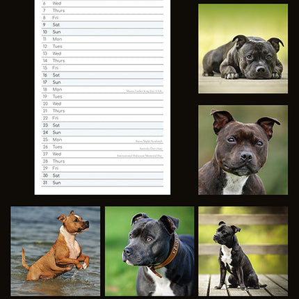 Staffordshire Bull Terriers 2027 Premium Slim Wall Calendar back cover