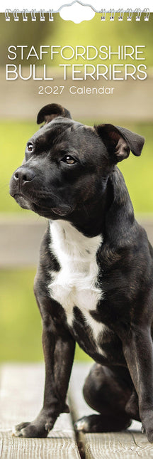 Staffordshire Bull Terriers 2027 Premium Slim Wall Calendar cover
