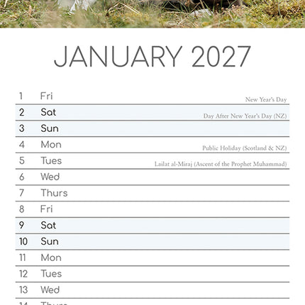 Staffordshire Bull Terriers 2027 Premium Slim Wall Calendar January sample page