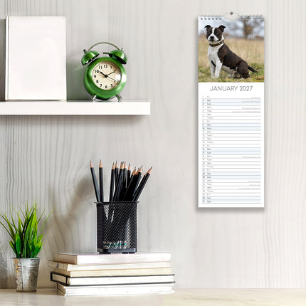 Staffordshire Bull Terriers 2027 Premium Slim Wall Calendar lifestyle image