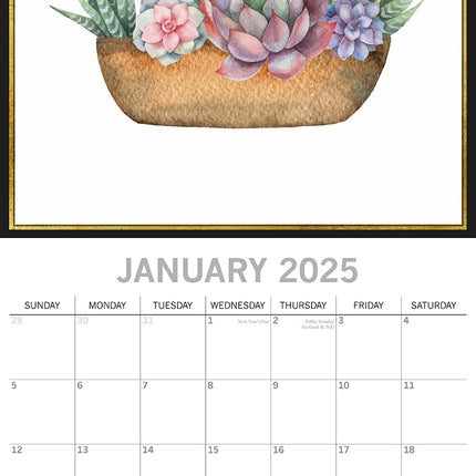 Succulents - 2025 Square Wall Calendar Arts 16 Months Premium Planner Gift