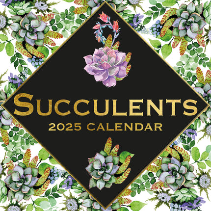 Succulents - 2025 Square Wall Calendar Arts 16 Months Premium Planner Gift