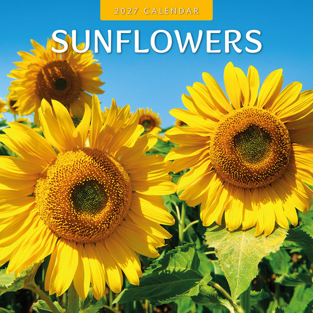 Sunflowers 2027 square wall calendar - front cover