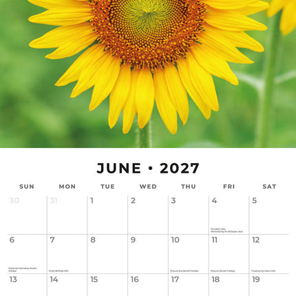 Sunflowers 2027 square wall calendar - monthly calendar spread
