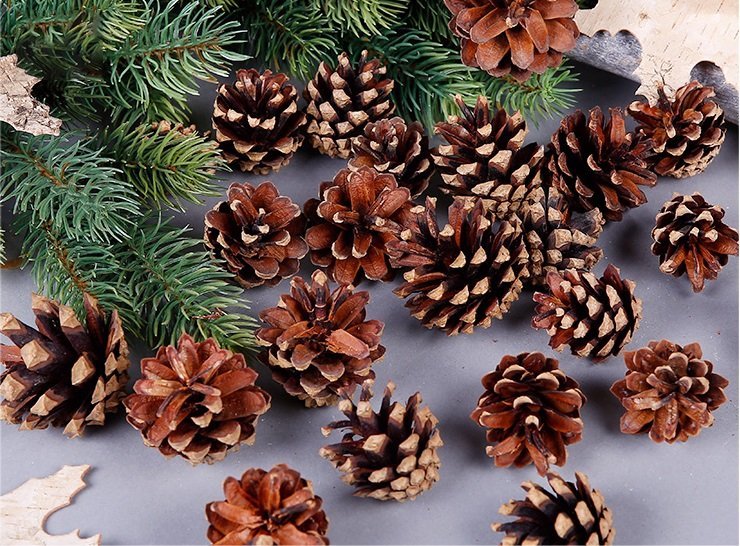 18 Christmas Natural Pine Cones Xmas Tree Hanging Home Decoration Ornament Gifts - Zmart Australia