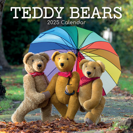 Teddy Bears - 2025 Square Wall Calendar 16 Months New Year Premium Planner Gift