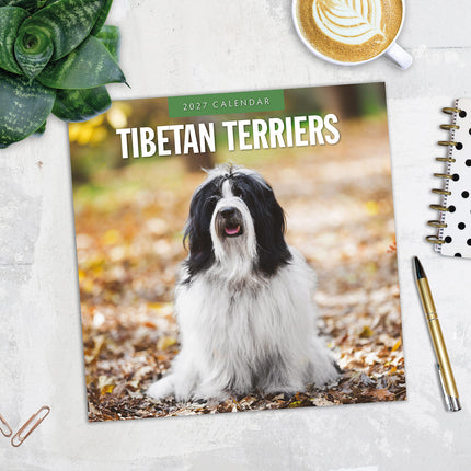 Tibetan Terriers 2027 square wall calendar - image detail