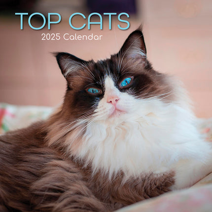 Top Cats - 2025 Square Wall Calendar Pets Animals 16 Months Premium Planner Gift