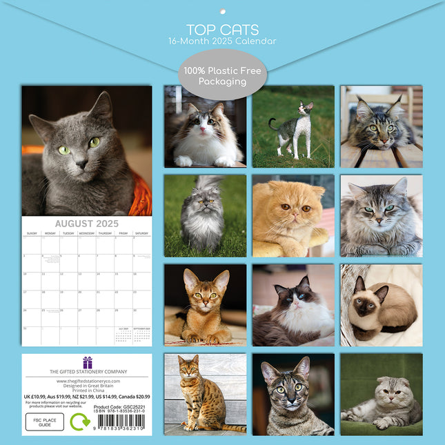 Top Cats - 2025 Square Wall Calendar Pets Animals 16 Months Premium Planner Gift