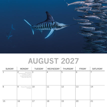 Under the Sea 2027 Premium Square Wall Calendar August sample page