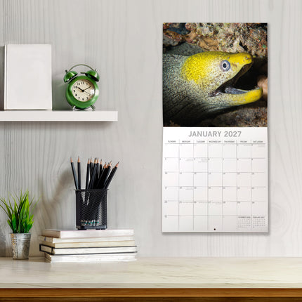 Under the Sea 2027 Premium Square Wall Calendar lifestyle image