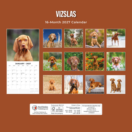 Vizslas 2027 square wall calendar - back cover