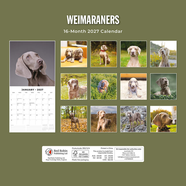 Weimaraners 2027 square wall calendar - back cover