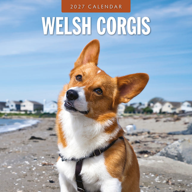 Welsh Corgis 2027 square wall calendar - front cover