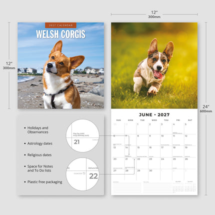 Welsh Corgis 2027 square wall calendar - product specifications