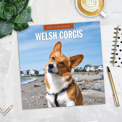 Welsh Corgis 2027 square wall calendar - image detail