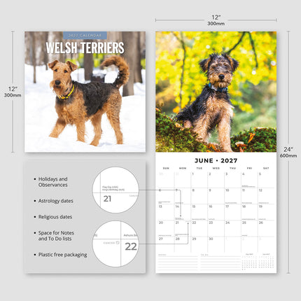 Welsh Terriers 2027 square wall calendar - product specifications
