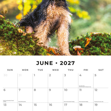 Welsh Terriers 2027 square wall calendar - monthly calendar spread