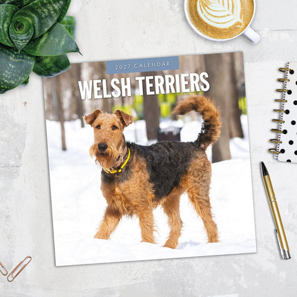 Welsh Terriers 2027 square wall calendar - image detail