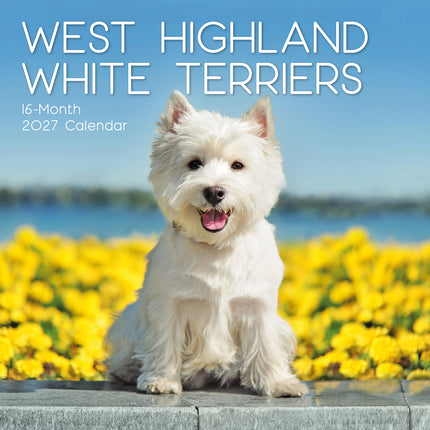 West Highland White Terriers 2027 Premium Square Wall Calendar cover