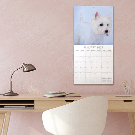 West Highland White Terriers 2027 Premium Square Wall Calendar lifestyle image