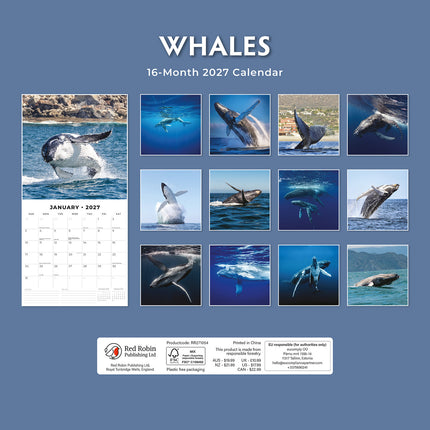 Whales 2027 square wall calendar - back cover