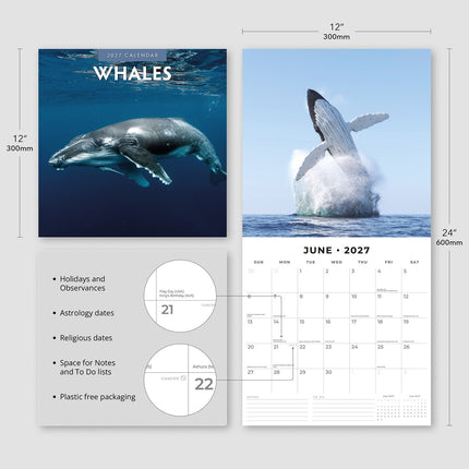 Whales 2027 square wall calendar - product specifications