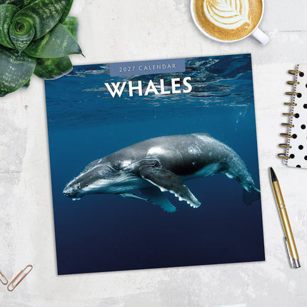 Whales 2027 square wall calendar - image detail
