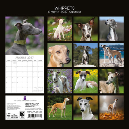 Whippets 2027 Premium Square Wall Calendar back cover