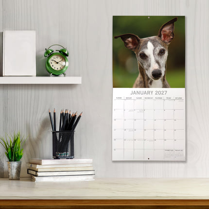 Whippets 2027 Premium Square Wall Calendar lifestyle image