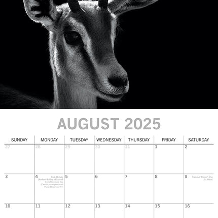 Wild Portraits 2025 Square Wall Calendar 16-Month Premium Planner Christmas Gift