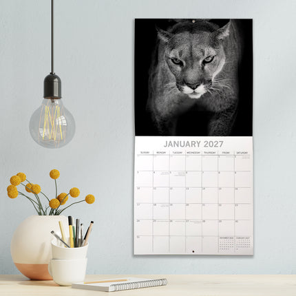 Wild Portraits 2027 Premium Square Wall Calendar lifestyle image