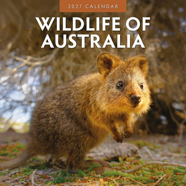 Wildlife of Australia 2027 square wall calendar - front cover
