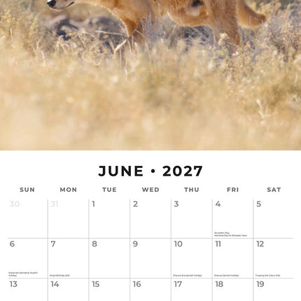 Wildlife of Australia 2027 square wall calendar - monthly calendar spread