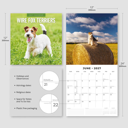 Wire Fox Terriers 2027 square wall calendar - product specifications