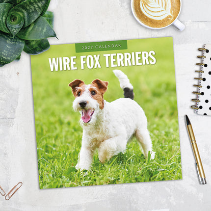 Wire Fox Terriers 2027 square wall calendar - image detail