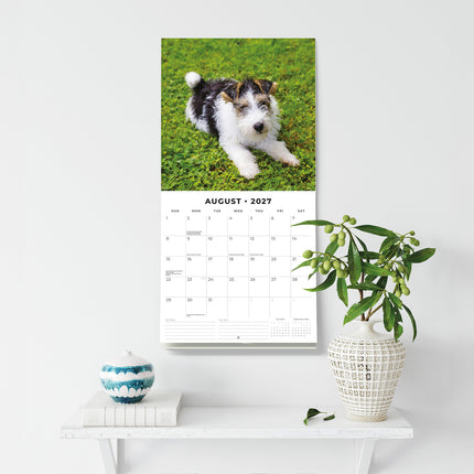 Wire Fox Terriers 2027 square wall calendar - wall display