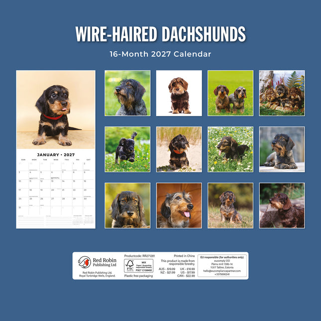 Wire-haired Dachshunds 2027 square wall calendar - back cover