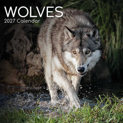 Wolves 2027 Premium Square Wall Calendar cover