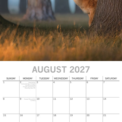 Woodland Scenes 2027 Premium Square Wall Calendar August sample page